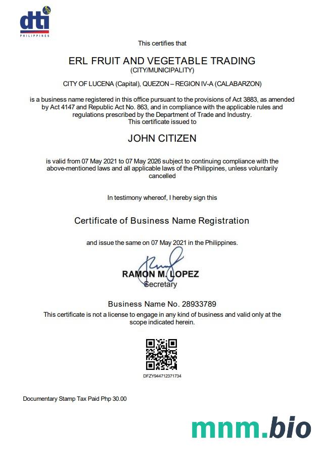 Philippines Department of Trade and Industry (DTI) private interprenour